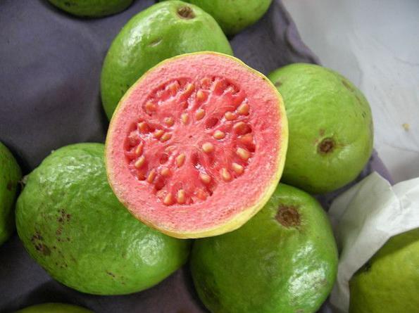 Learn More about Fantastic Guava Fruit