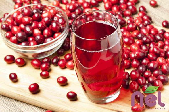 Cranberry Juice Concentrate in Bulk