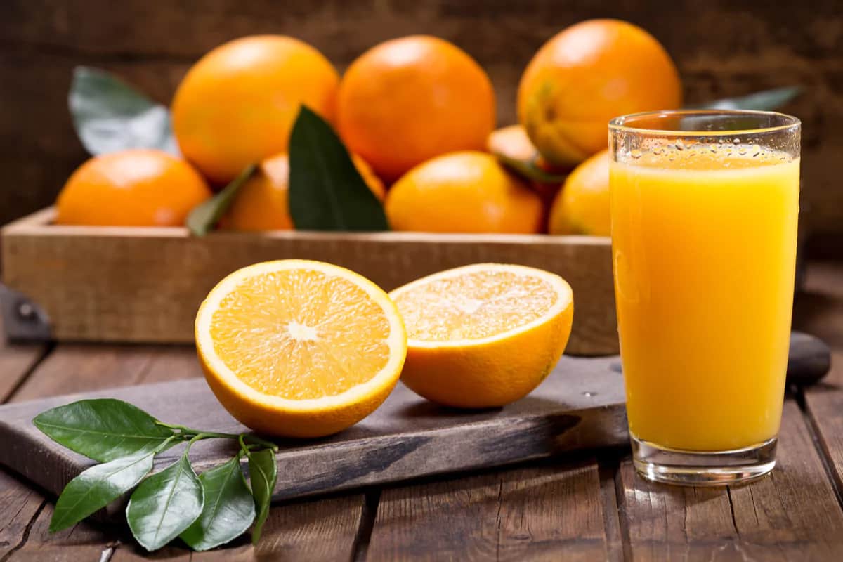 Orange Juice Concentrate Price 