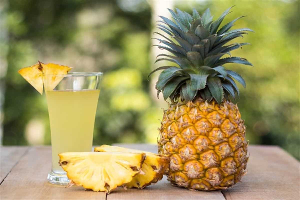  Buy and price of pineapple juice concentrate bromelain 