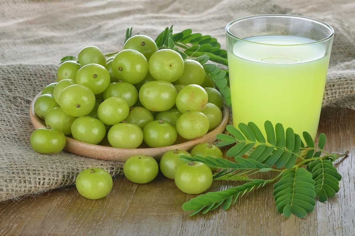  Price and Buy white grape juice concentrate + Cheap Sale 