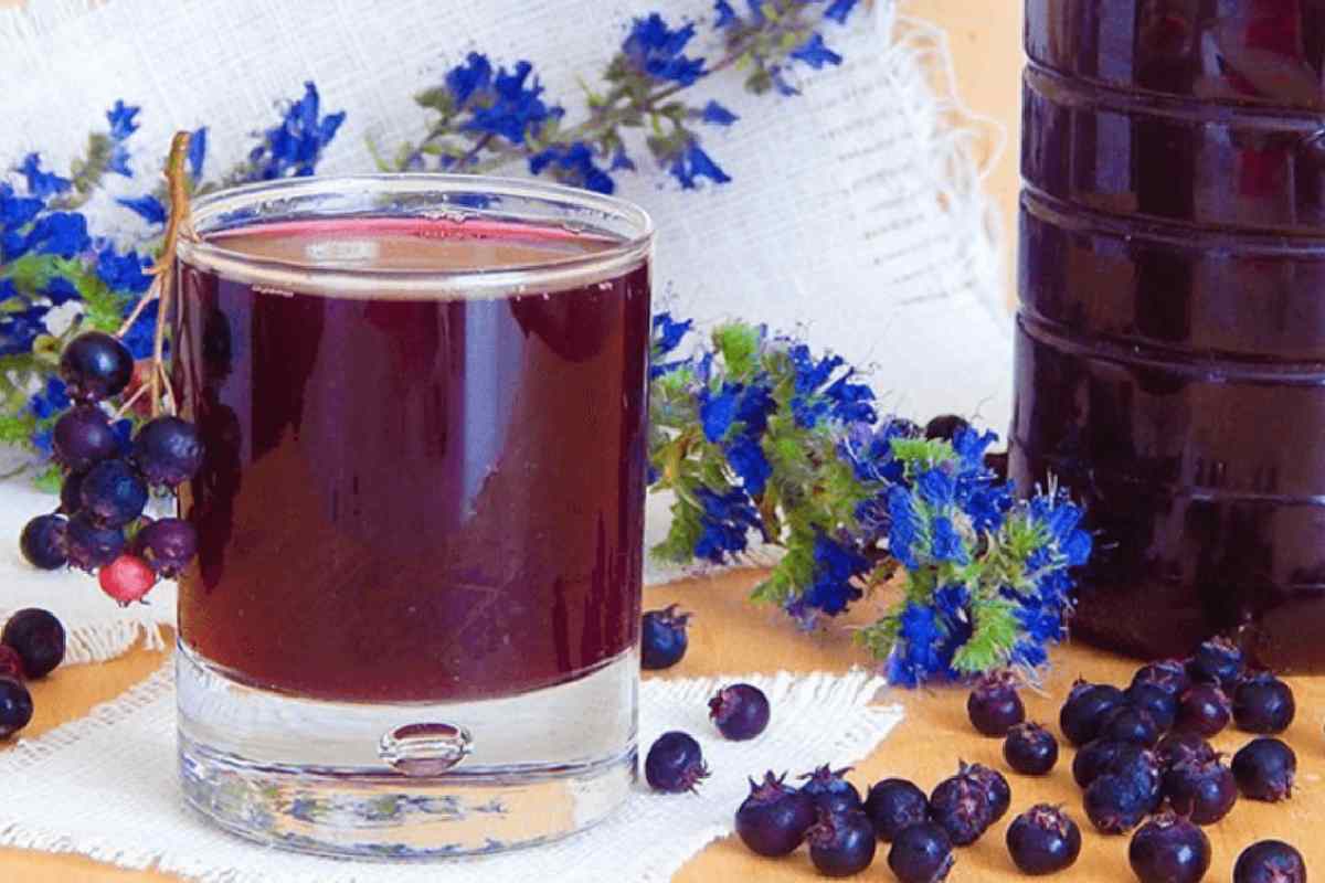  Buy blueberry juice concentrate + Great Price With Guaranteed Quality 